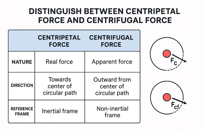 Distinguish Between Centripetal Force and Centrifugal Force