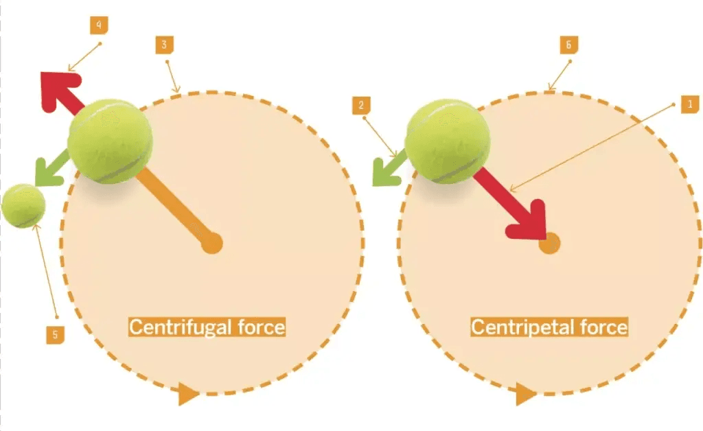 distinguish between centripetal force and centrifugal force