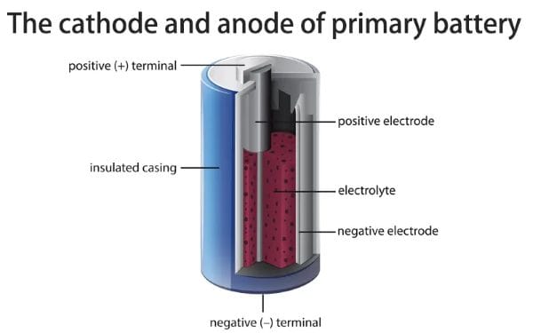 Primary batteries examples – alkaline, zinc-carbon, dry cell